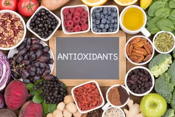 Les antioxydants